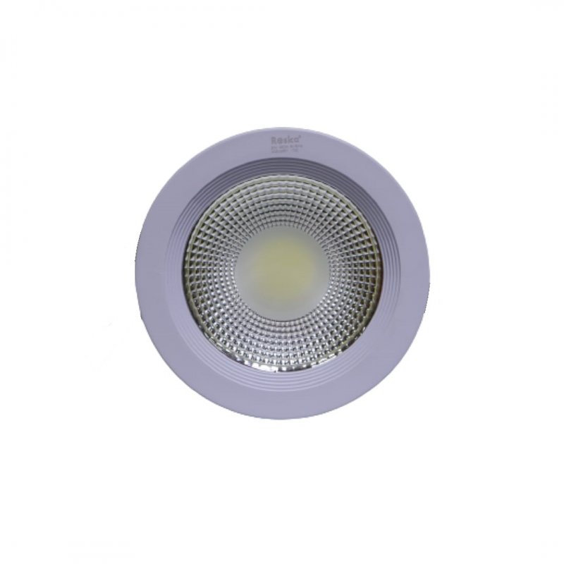 R-20DL - 20W DOWN LIGHT COB 6500K