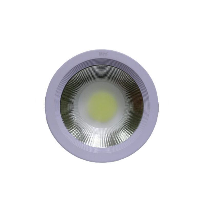 R-30DL - 30W DOWN LIGHT COB 6500K