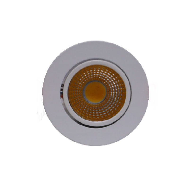 R-10WW-COB - 10W COB LED DOWN LIHGT WW