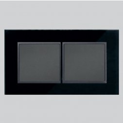 DS-401-BG - BLANK PLATE 3X6