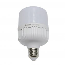 R-20R-WW - 20W LED LAMP WARMWHITE