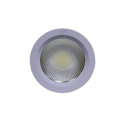 R-20DL - 20W DOWN LIGHT COB 6500K