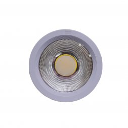 R-30WW - 30W WW DOWN LIGHT COB 3000K