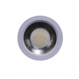 R-30SDL - 30W COB LED DOWN LIGHT D/L SURFACE TYRE