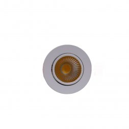 R-7WW-COB - 7W WW COB LED DOWN LIGHT MOVABLE WHITE