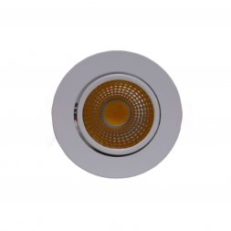 R-10WW-COB - 10W COB LED DOWN LIHGT WW