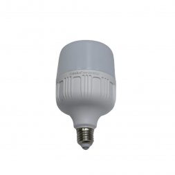 R-30R-WW - 30W LED LAMP WARMWHITE